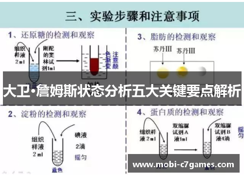 大卫·詹姆斯状态分析五大关键要点解析