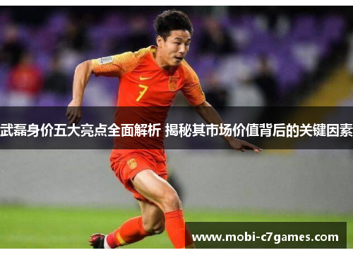 武磊身价五大亮点全面解析 揭秘其市场价值背后的关键因素
