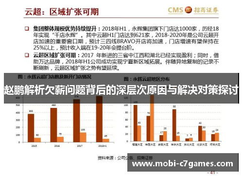 赵鹏解析欠薪问题背后的深层次原因与解决对策探讨